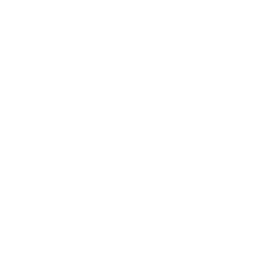 email-icon